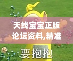 天線寶寶正版論壇資料,精準(zhǔn)數(shù)據(jù)評(píng)估_教育版BDA13.90