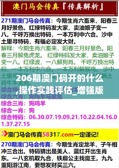 206期澳門(mén)碼開(kāi)的什么,操作實(shí)踐評(píng)估_增強(qiáng)版YSV13.49