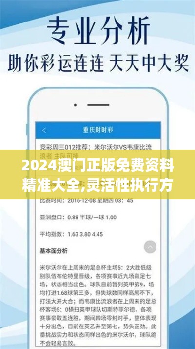 2024澳門正版免費資料精準大全,靈活性執(zhí)行方案_采購版DUI13.6