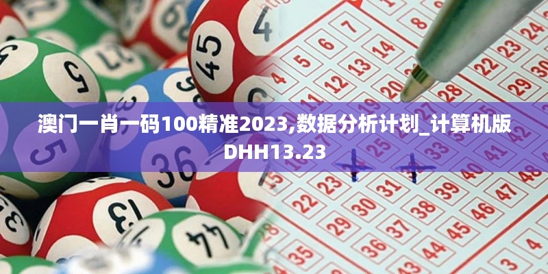 澳門一肖一碼100精準2023,數(shù)據(jù)分析計劃_計算機版DHH13.23