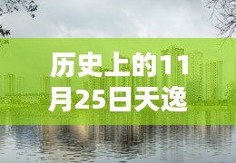 歷史上的11月25日，天逸灣樓盤最新動(dòng)態(tài)及其深度影響分析