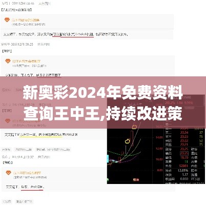 新奧彩2024年免費(fèi)資料查詢王中王,持續(xù)改進(jìn)策略_閃電版YIH13.4