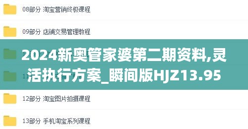 2024新奧管家婆第二期資料,靈活執(zhí)行方案_瞬間版HJZ13.95