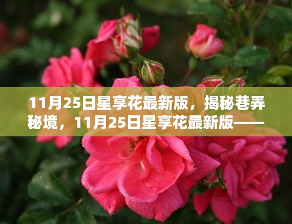 揭秘巷弄秘境，星享花最新版特色小店探秘之旅