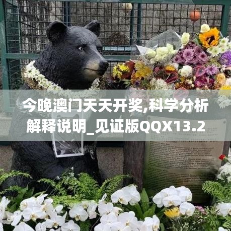 今晚澳門天天開獎,科學分析解釋說明_見證版QQX13.25