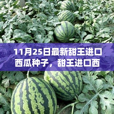 最新甜王進口西瓜種子，感受成長之甜與變化之力