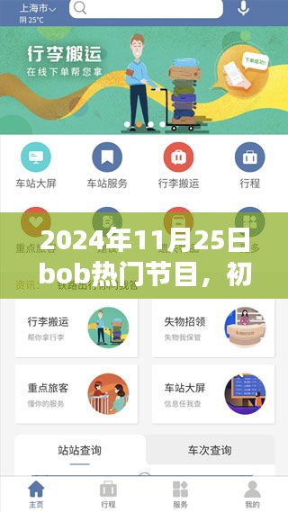 初學(xué)者與進(jìn)階用戶觀看指南，Bob熱門節(jié)目詳細(xì)步驟及精彩內(nèi)容回顧（2024年11月25日）