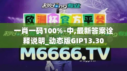 一肖一碼100%-中,最新答案詮釋說明_動態(tài)版GIP13.30