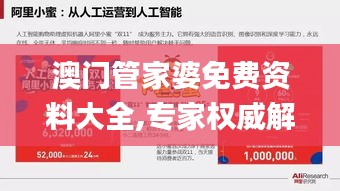 澳門管家婆免費資料大全,專家權威解答_商務版FWB13.32