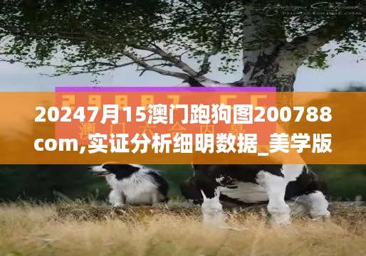 20247月15澳門跑狗圖200788com,實證分析細明數(shù)據_美學版KCH13.73