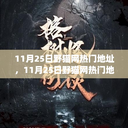 揭秘野貓網(wǎng)熱門地址背后的故事，背景、事件、影響與時(shí)代地位解析