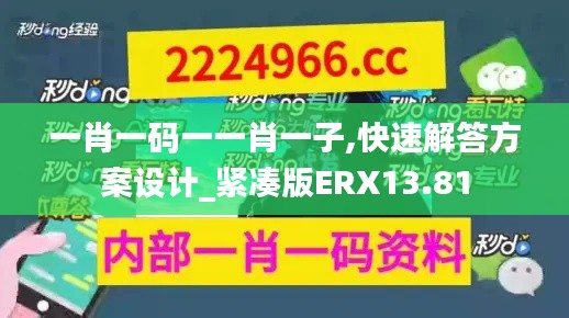 一肖一碼一一肖一子,快速解答方案設(shè)計(jì)_緊湊版ERX13.81
