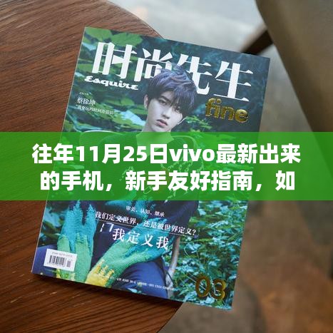 新手友好指南如何獲取并體驗vivo最新手機，以往年11月25日機型為例