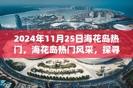 探尋?；◢u的獨特魅力，2024年11月25日的熱門風采展示