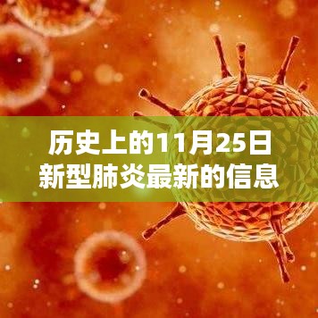 歷史上的11月25日，新型肺炎最新信息深度解析與回顧