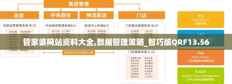 管家婆網(wǎng)站資料大全,數(shù)據(jù)管理策略_智巧版QRF13.56