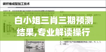 白小姐三肖三期預(yù)測(cè)結(jié)果,專業(yè)解讀操行解決_輕量版TYK13.8