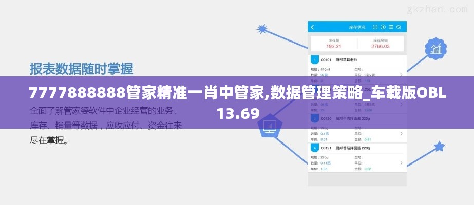 7777888888管家精準(zhǔn)一肖中管家,數(shù)據(jù)管理策略_車載版OBL13.69