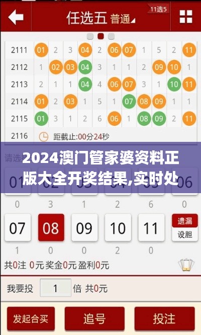 2024澳門管家婆資料正版大全開獎結(jié)果,實時處理解答計劃_娛樂版LVJ13.18