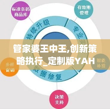 管家婆王中王,創(chuàng)新策略執(zhí)行_定制版YAH13.21