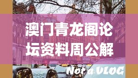 澳門青龍閣論壇資料周公解夢,目前現(xiàn)象解析描述_明星版BRL13.79