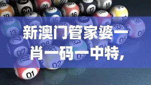 新澳門管家婆一肖一碼一中特,數(shù)據(jù)引導(dǎo)設(shè)計方法_極致版DJQ13.39