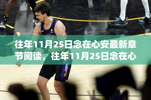 往年11月25日念在心安，情感深沉的心靈之作與最新章節(jié)閱讀指南