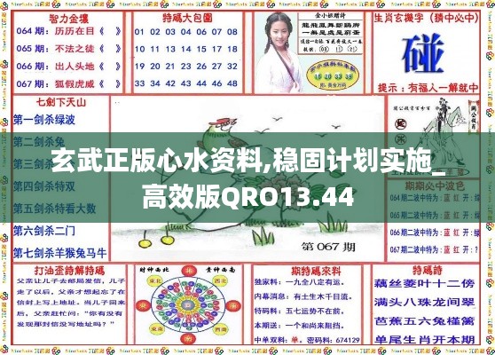 玄武正版心水資料,穩(wěn)固計(jì)劃實(shí)施_高效版QRO13.44