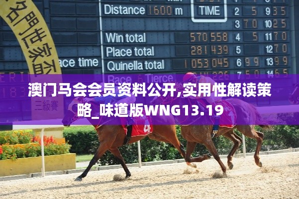 澳門(mén)馬會(huì)會(huì)員資料公開(kāi),實(shí)用性解讀策略_味道版WNG13.19