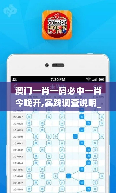 澳門一肖一碼必中一肖今晚開,實踐調(diào)查說明_權限版ABM13.77