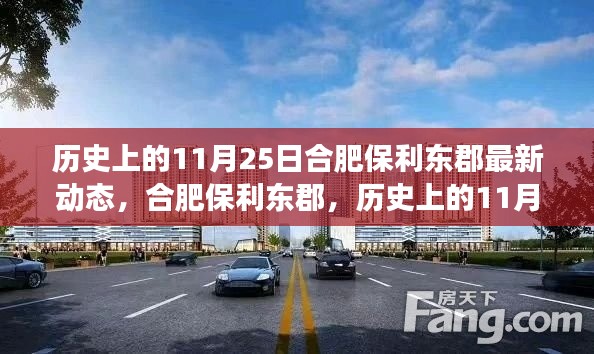 合肥保利東郡，歷史上的11月25日最新動態(tài)解讀