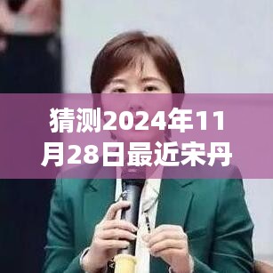 宋丹丹新劇預(yù)測(cè)指南，揭秘2024年11月28日最新電視劇猜測(cè)與期待！