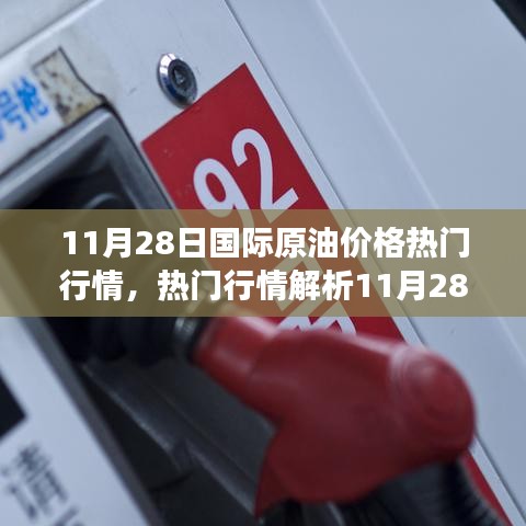 11月28日國際原油熱門行情解析，洞悉市場波動(dòng)與應(yīng)對策略