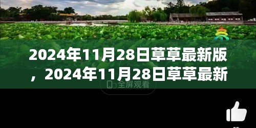 2024年11月28日草草最新版產(chǎn)品評測與詳細(xì)介紹