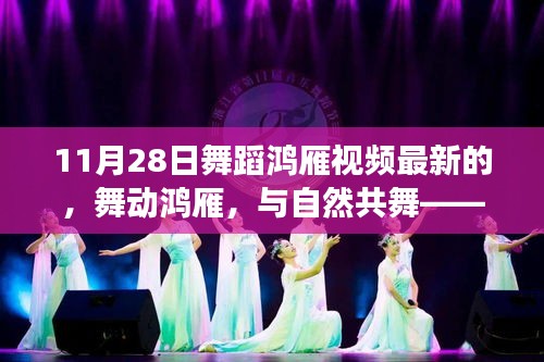 舞動鴻雁，與自然共舞的心靈之旅（最新11月28日舞蹈鴻雁視頻）