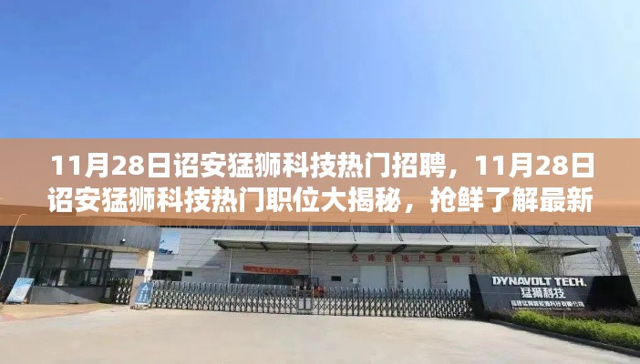 詔安猛獅科技最新招聘風向揭秘，熱門職位搶鮮看