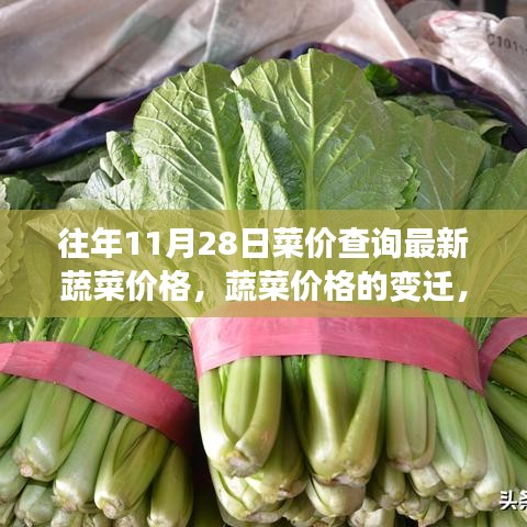 尋找自信與成就感的種子，蔬菜價(jià)格的變遷與歷年11月28日最新菜價(jià)查詢