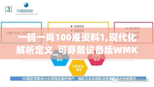 一碼一肖100準(zhǔn)資料1,現(xiàn)代化解析定義_可穿戴設(shè)備版WMK13.99
