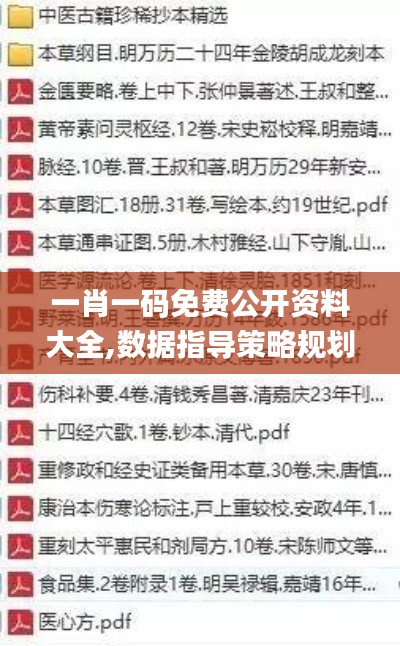 一肖一碼免費(fèi)公開資料大全,數(shù)據(jù)指導(dǎo)策略規(guī)劃_極致版CCC13.40