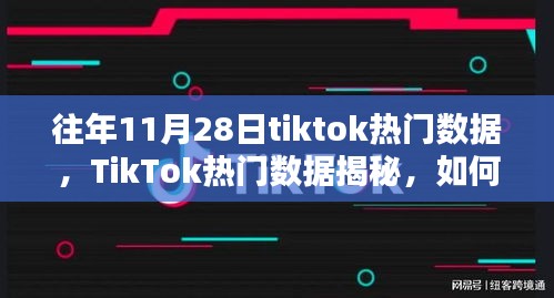 揭秘往年11月28日TikTok流行趨勢(shì)與熱門數(shù)據(jù)解析