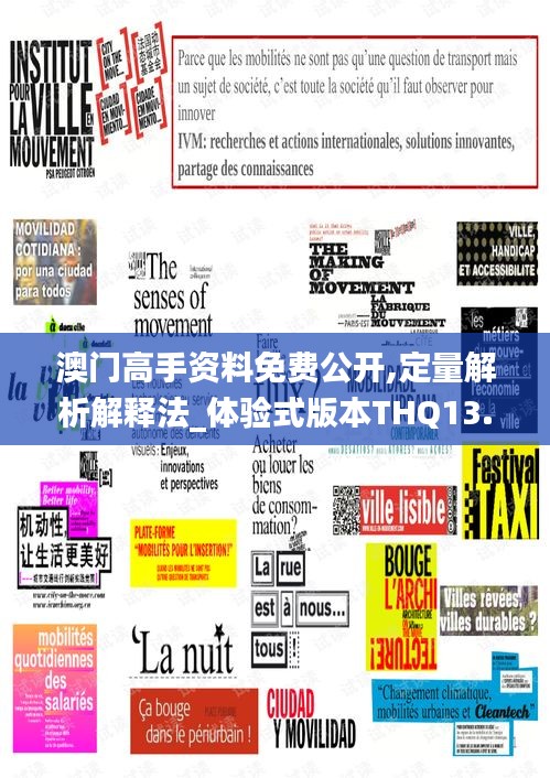 澳門高手資料免費(fèi)公開,定量解析解釋法_體驗式版本THQ13.28