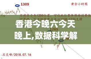 香港今晚六今天晚上,數(shù)據(jù)科學(xué)解析說明_見證版IBR13.37