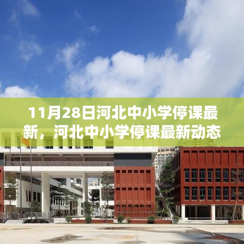 河北中小學(xué)停課最新動(dòng)態(tài)，11月28日的深刻印記