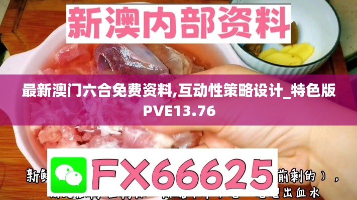 最新澳門六合免費資料,互動性策略設(shè)計_特色版PVE13.76