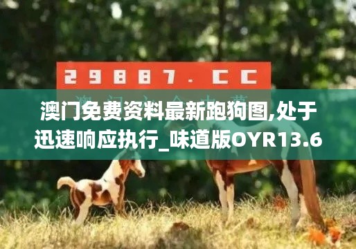 澳門免費資料最新跑狗圖,處于迅速響應執(zhí)行_味道版OYR13.64