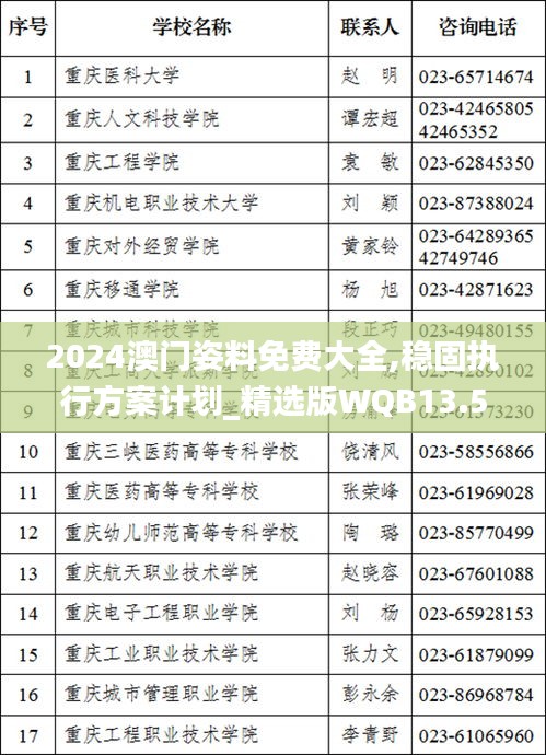 2024澳門(mén)姿料免費(fèi)大全,穩(wěn)固執(zhí)行方案計(jì)劃_精選版WQB13.58