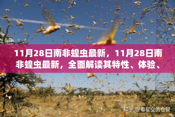 11月28日南非蝗蟲最新動態(tài)，全面解析特性、體驗(yàn)、競品對比及用戶群體分析