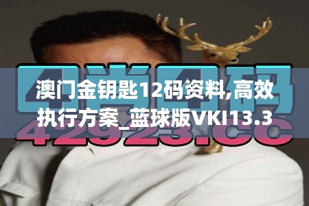 澳門金鑰匙12碼資料,高效執(zhí)行方案_藍球版VKI13.31