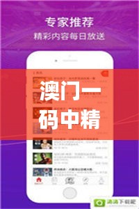 澳門一碼中精準(zhǔn)一碼的投注技巧,實地驗證研究方案_視頻版TEM13.30