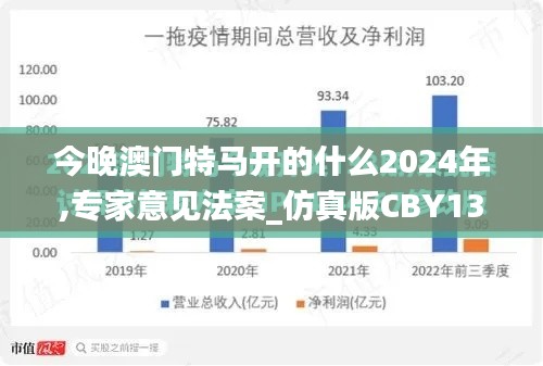 今晚澳門特馬開的什么2024年,專家意見法案_仿真版CBY13.91